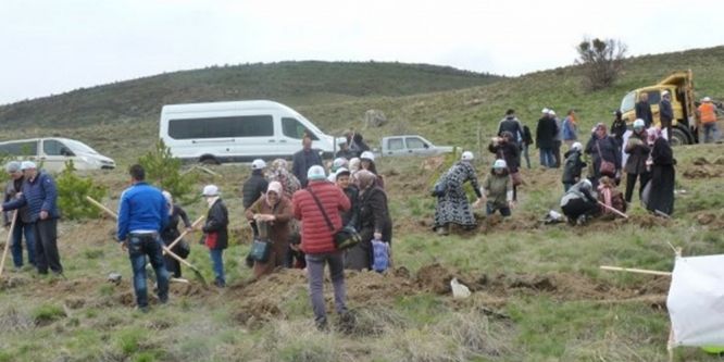 Otizm Farkındalık Ormanı’na 1000 adet fidan dikildi