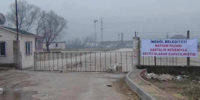 İki mahalle karantinaya alındı