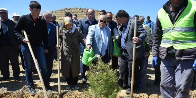 Şehit Polis Gökhan Ünaldı için hatıra ormanı oluşturuldu