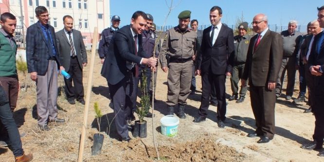 Aslanapa’da 600 fidan toprakla buluştu