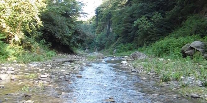 49 dere ıslah edilecek