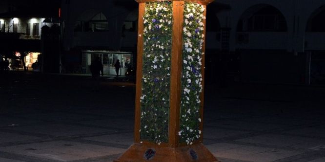 Dikey bahçeler Mersin’e renk katıyor