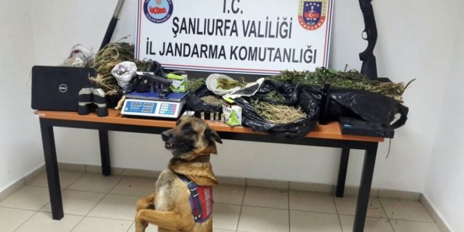 Şanlıurfa’da uyuşturucu operasyonu!