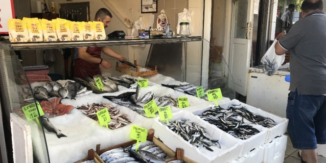 Balık tezgahlarında palamut 5 liraya düştü