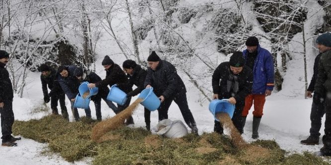 Doğaya yem bıraktılar