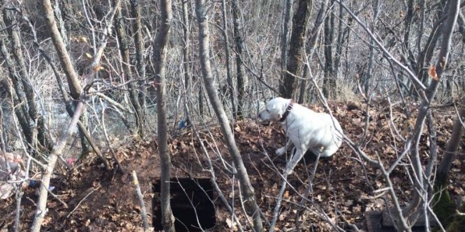 Bitlis’te terör operasyonu