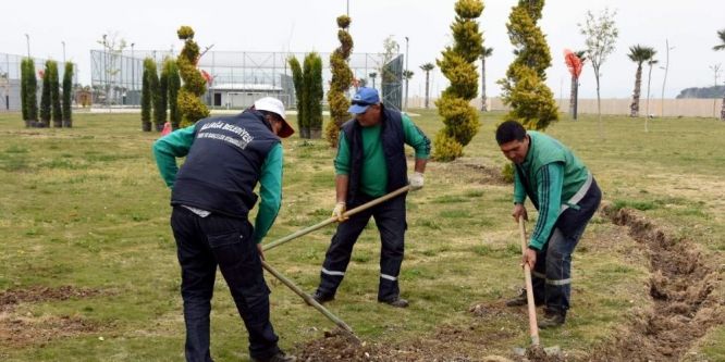 Ağapark’ta ağaçlandırma çalışması