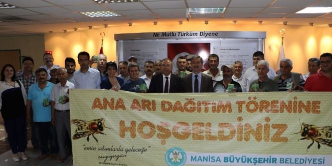 Turgutlulu üreticilere ana arı desteği