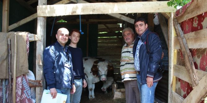 Süt sığırcılığı 19 aileye iş kapısı oldu