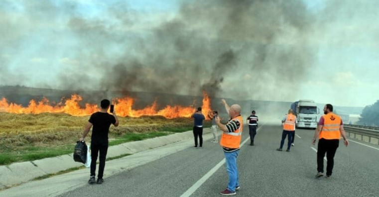 7 bin 248 dekar alan kül oldu