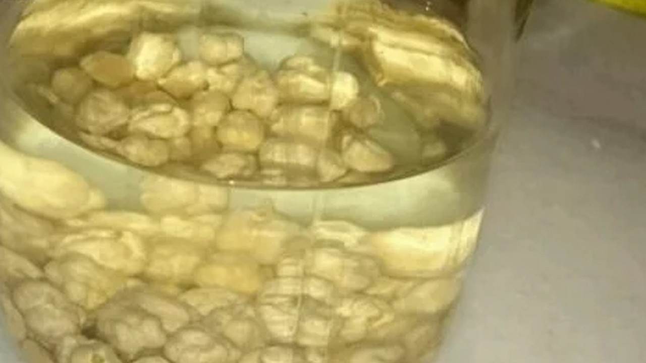 7 Günde 3 kilo verdiren su: net bir şekilde destek olur! İşte bütün detaylar