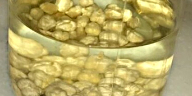 7 Günde 3 kilo verdiren su, zayıflama sırrı: Bu diyetle incecik olun! Her lokması şifalı