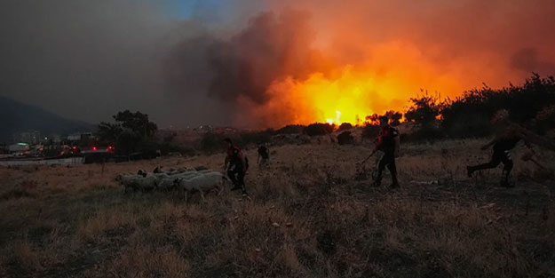 7 ilde çıkan orman yangınlarına ilişkin 9 kişi tutuklandı