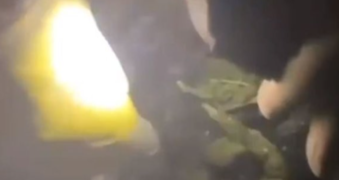 7 ilde uyuşturucu operasyonu: 72 zehir taciri yakalandı