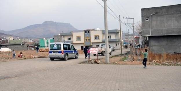 7 kişiyi ısıran köpekte tespit edildi! Mahalle karantinaya alındı