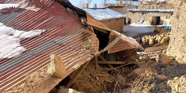 7 küçükbaş hayvan telef oldu