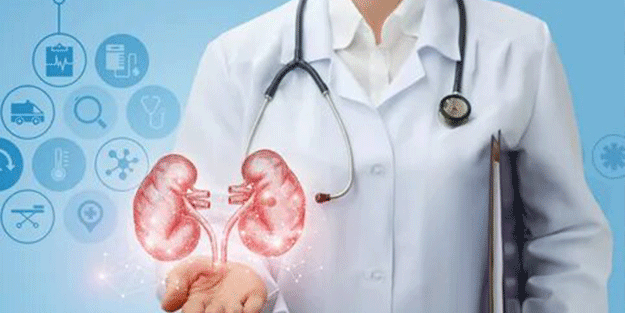 7 tane tükettiğinizde böbrekleri tamamen yeniliyor! Vücuttaki tüm zehri atıyor