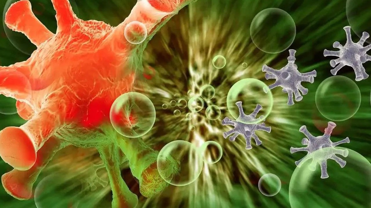 7 yeni tür! Çinli bilim insanlarından Antarktika'da tarihi keşif