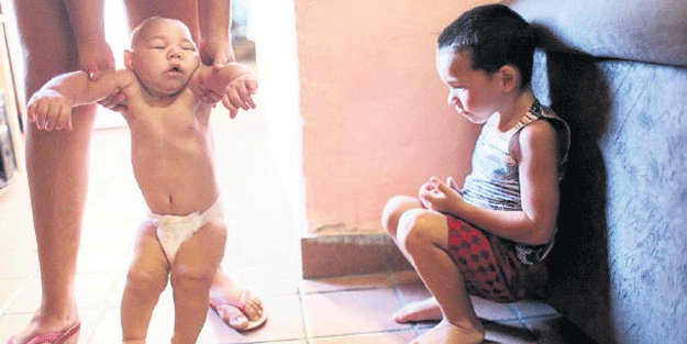 7 yıl içinde Anadolu’ya yayılacak… Türkiye için korkutan rapor!