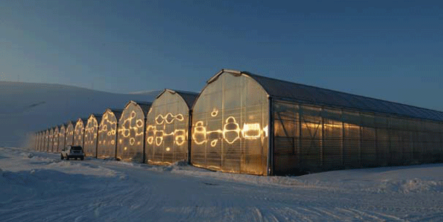 Çaldıran'da 7 yılda yapıldı, milyonlarca liraya mal oldu! Eksi 40 derecede yetiştiriliyor…