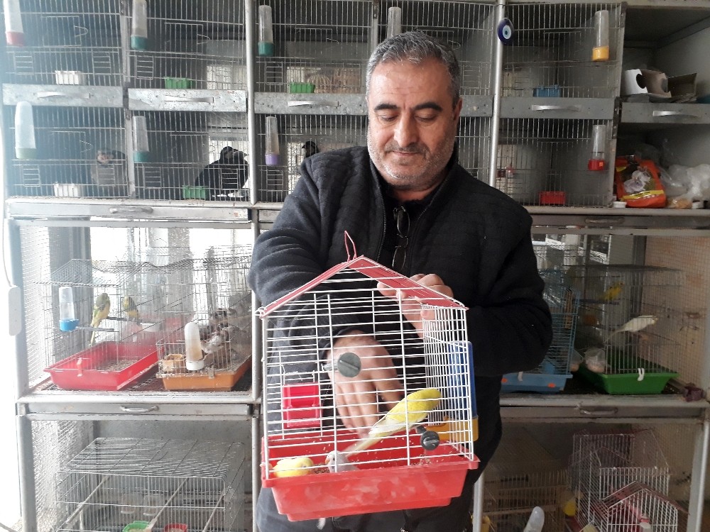 70 çeşit hayvanına gözü gibi bakıyor 