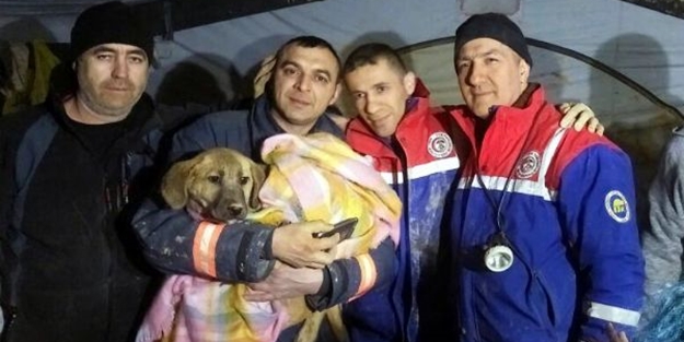 70 metrelik kuyuya düşen köpek 11 gün sonra çıkarıldı