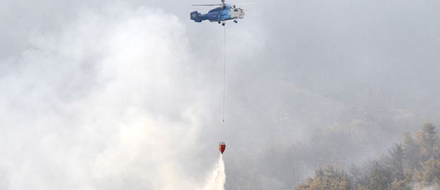 700 hektar orman yandı