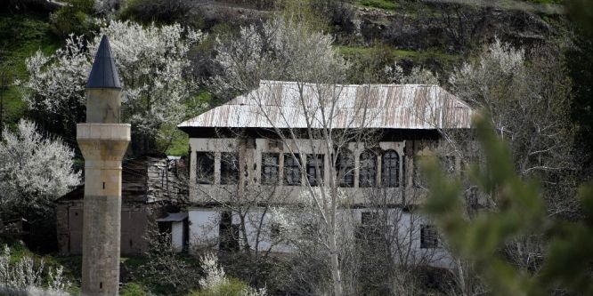 Süleymaniye’de eşsiz bahar güzelliği