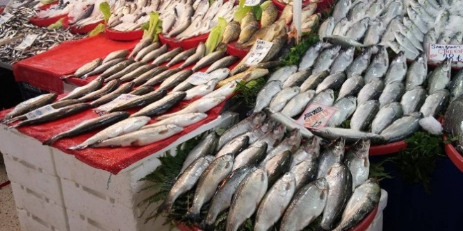 Balık fiyatları cep yakıyor