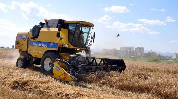 Çukurova’da buğday hasadı başladı