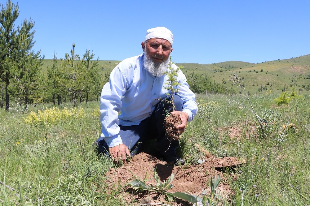 70’lik delikanlı köyüne 8 bin 500 ağaç dikti 