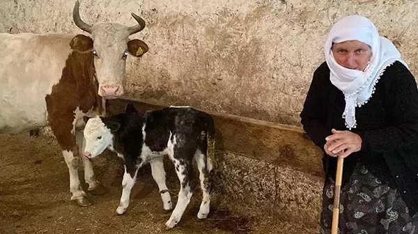 71 yaşındaki Sarıgül nineden duygulandıran destek