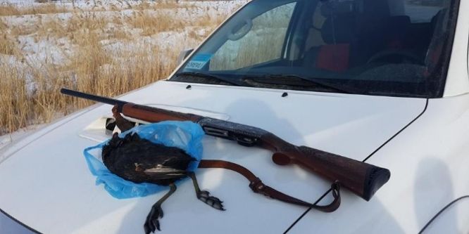 Kaçak avcıya bin 115 lira para cezası kesildi