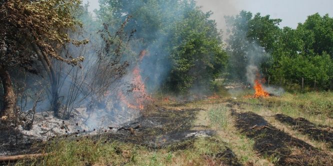 Bahçeler arasında orman yangını