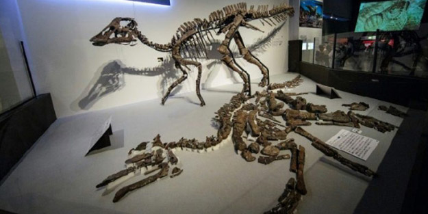 72 milyon yıllık! Yeni bir tür dinozor fosili bulundu