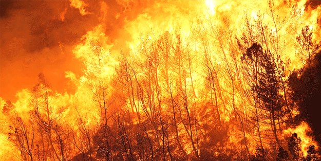 72 noktada orman yangını! Bakan Yumaklı son durumu açıkladı: 69 tanesi...