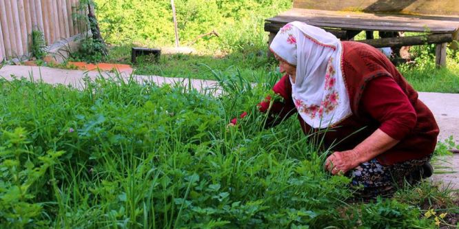 Bahçeler yeşillendi