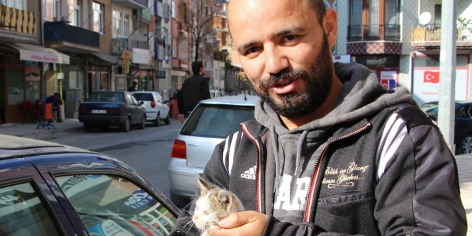 Tokat’ta kedi kurtarma operasyonu