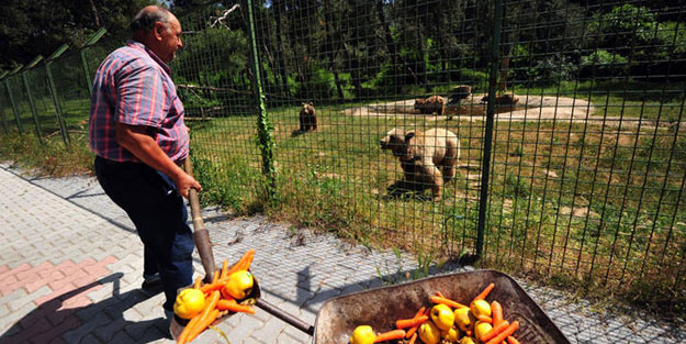 73 bozayı özel programla besleniyor
