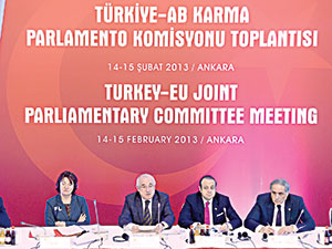 Çiçek: AB net olsun