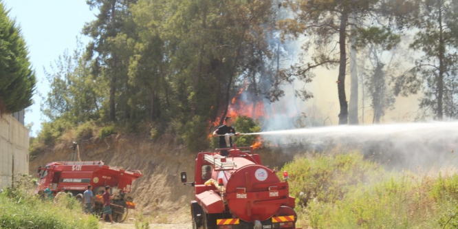 Manavgat’ta orman yangını