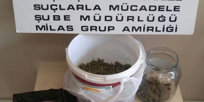 Milas’ta torbacılara operasyon: 2 gözaltı