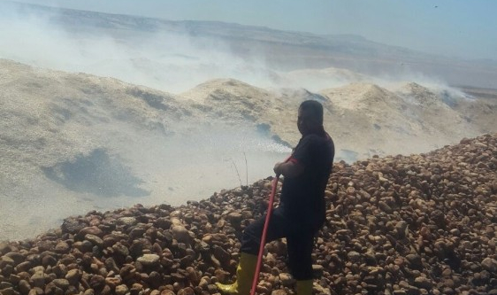 Şambayat’ta bin 200 dönümlük arazide anız yandı