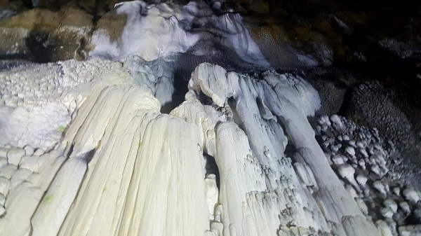 75 milyon yıllık gizem!