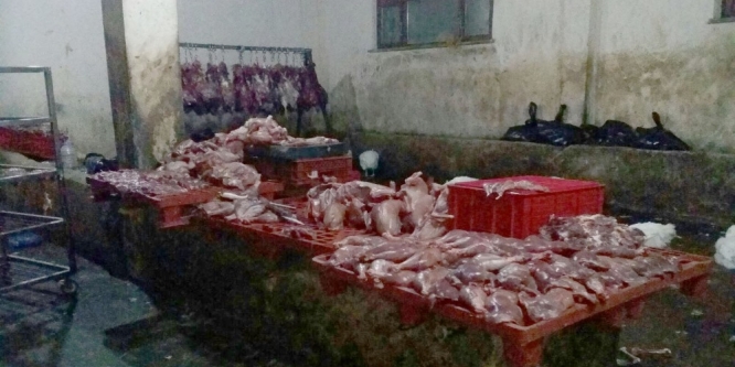 Kaçak et operasyonunda şok gelişme