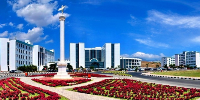 Kıbrıs Kekiği; Mide Kanseri, Ülselerler ve Lenfomaya iyi geliyor