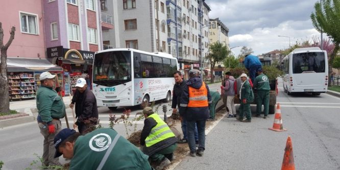 Edirne Belediyesi ıslah çalışmalarına devam ediyor
