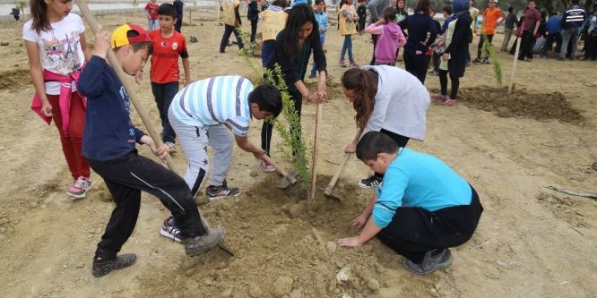 Turgutlulu öğrencilerden fidan dikimi