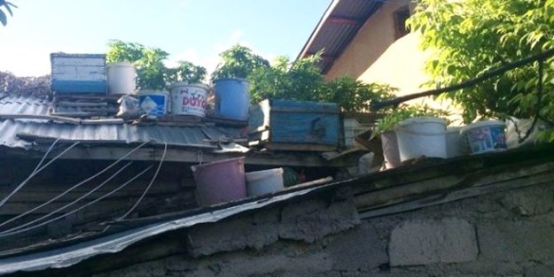 75'lik dedenin evinden çıkanlar görenleri hayrete düşürdü