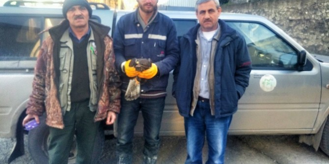 Donmak üzereyken bulundu